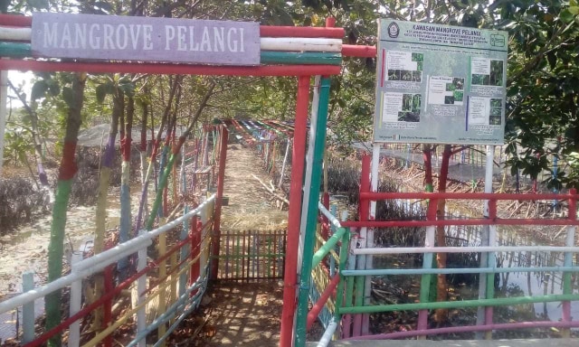 Penanaman mangrove