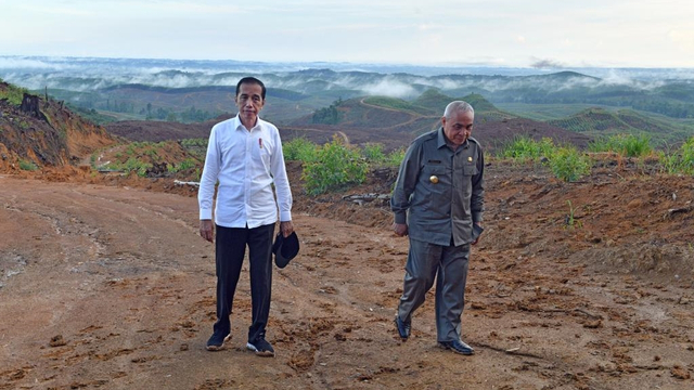 Presiden Jokowi dan Gubernur Kaltim Isran Noor tinjau lokasi ibu kota baru di wilayah konsesi PT ICTI Hutani Imanunggal, Sepaku, Kabupaten Penajam Paser Utara. Foto: Dok. Agus Suparto