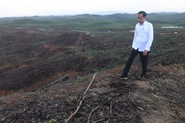 Presiden Joko Widodo meninjau lokasi rencana ibu kota baru di Sepaku, Penajam Paser Utara, Kalimantan Timur, Selasa (17/12/2019). Foto: ANTARA FOTO/Akbar Nugroho Gumay