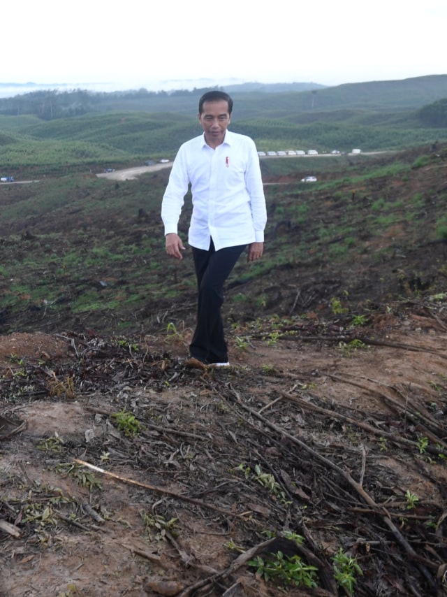 Presiden Joko Widodo meninjau lokasi rencana ibu kota baru di Sepaku, Penajam Paser Utara, Kalimantan Timur, Selasa (17/12/2019). Foto: ANTARA FOTO/Akbar Nugroho Gumay