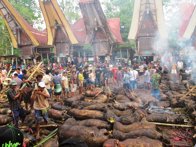 aluk tadolo torajaculture.JPG
