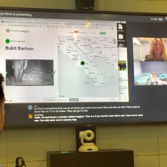 Platform Wildlife Insights dari Google. Foto: Farida Yulistiana/kumparan