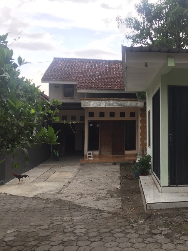 Suasana di rumah milik MZ di Kadisono, Desa Tegaltirto, Kecamatan Berbah, Kabupaten Sleman, DI Yogyakarta. Foto: Arfiansyah Panji Purnandaru/kumparan