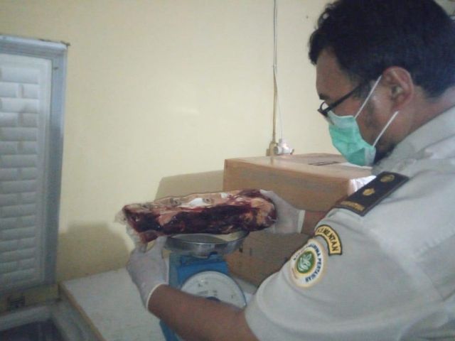 Petugas Balai Karantina II Kota Pangkalpinang saat menghitung berat daging tanpa dokumen lengkap.