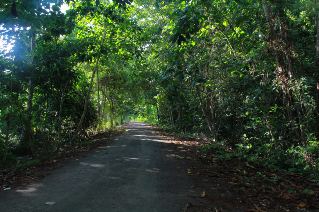 Jalan Masuk Kedalam Huta Sarpokren di Raja Ampat, foto : Aditya Nugraha