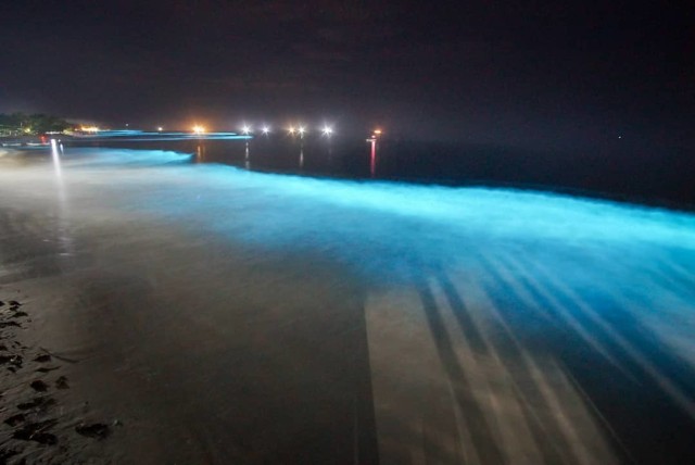 Fenomena bioluminescene di sepanjang pantai Pesisir Barat Lampung, Minggu (22/12) | Foto : Instagram/riez_aries