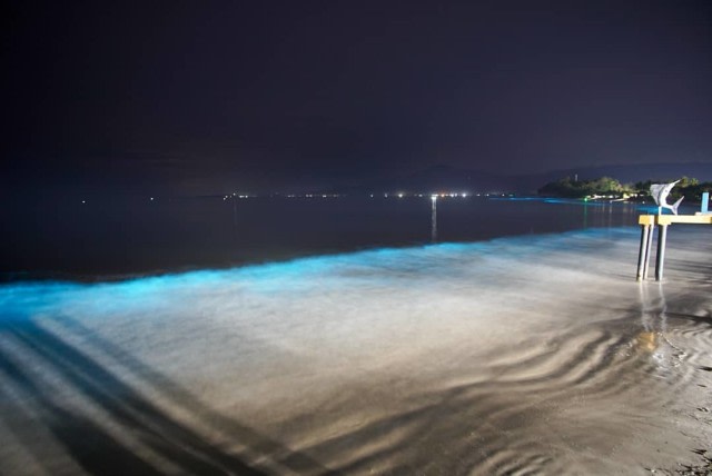 Fenomena bioluminescene di sepanjang pantai Pesisir Barat Lampung, Minggu (22/12).  Foto:  Foto : Instagram/riez_aries