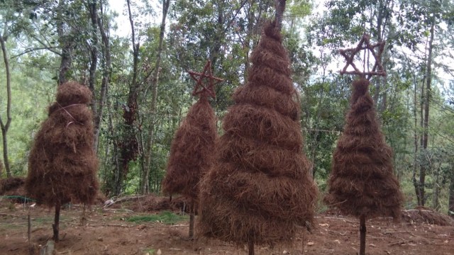 Kreasi Warga Mamasa Sulap Daun Pinus Kering  Jadi Pohon 