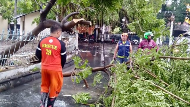Pohon Tumbang Menimpa Warung Dan Mobil Di Alun Alun Utara Solo Kumparan Com
