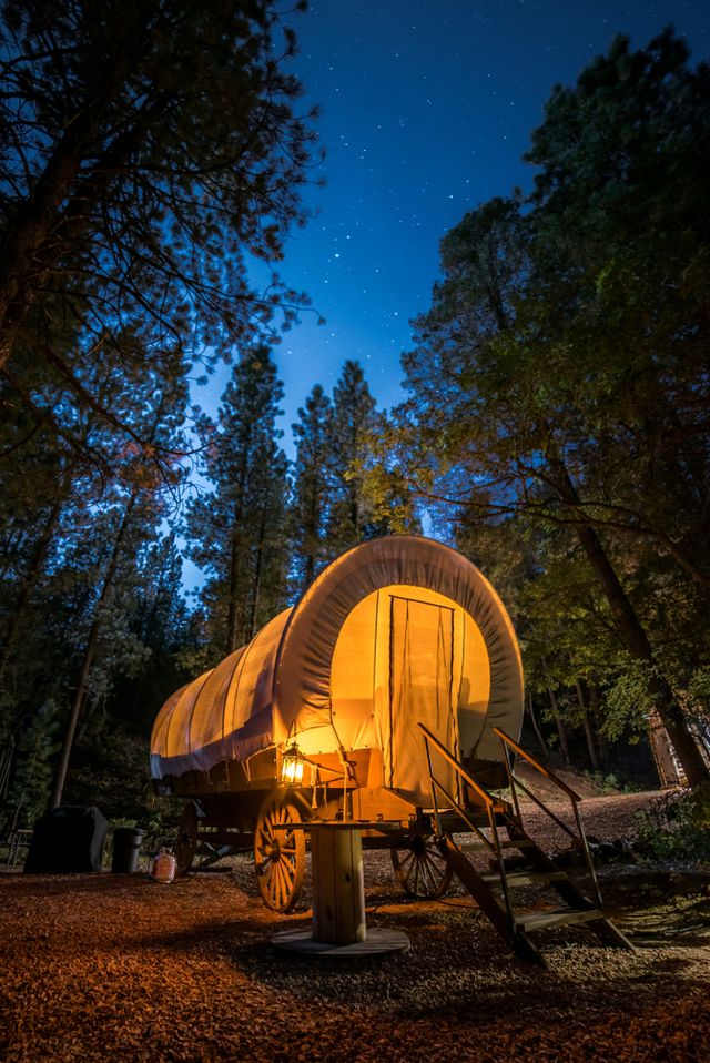 Tenda Honey Glamping  Foto: Shutterstock 