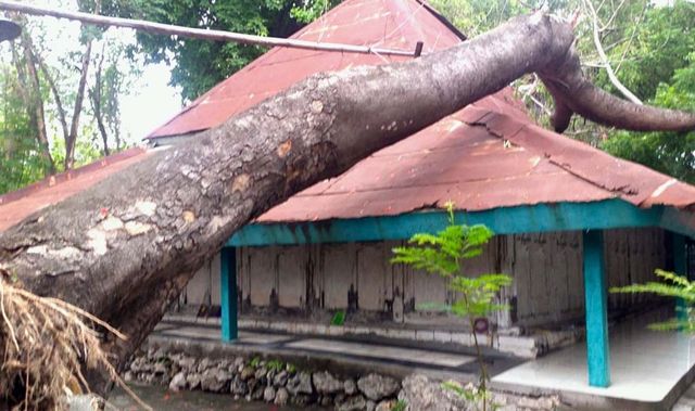 Bangunan Pelindung Makam Sunan Prapen Gresik Tertimpa Pohon Tumbang