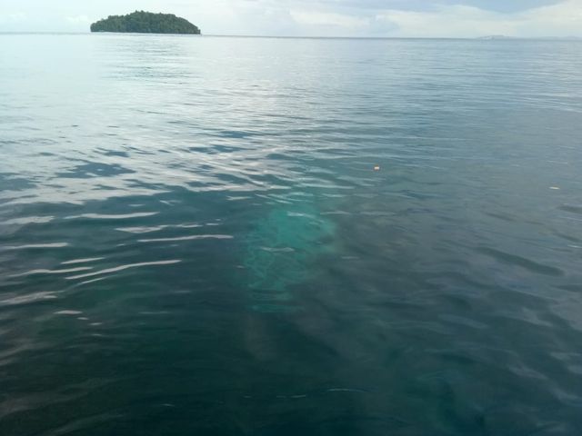 Tampak sekoci yang karam didasar laut usai ditabrak speedboat 'Putri Sion', foto : Aditya Nugroho