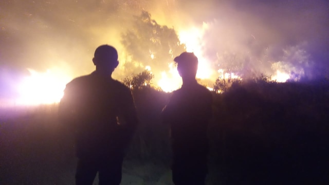 Dua Titik Lahan di Karimun Terbakar Saat Malam Tahun Baru 2020 (56631)