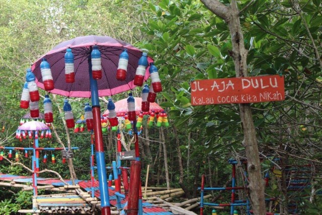 Kasan Wisata Hutan Mangrove yang menghadirkan warna warni alam. Foto: Kristina Natalia/PaluPoso