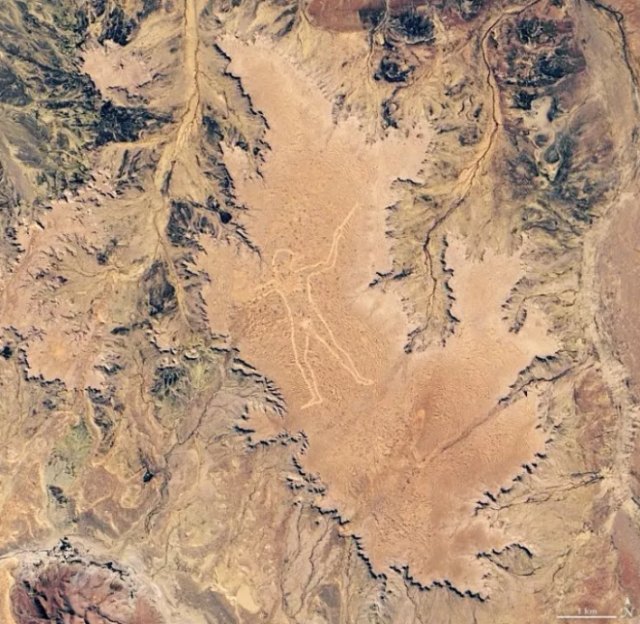 Gambar geoglyph 'Marree Man' di Australia yang diambil OLI pada 22 Juni 2019. Foto: NASA