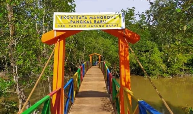 Salah satu icon wisata di Jambi, Ekowisata Mangrove Pangkal Babu di Tanjung Jabung Barat. Foto: Jambikita