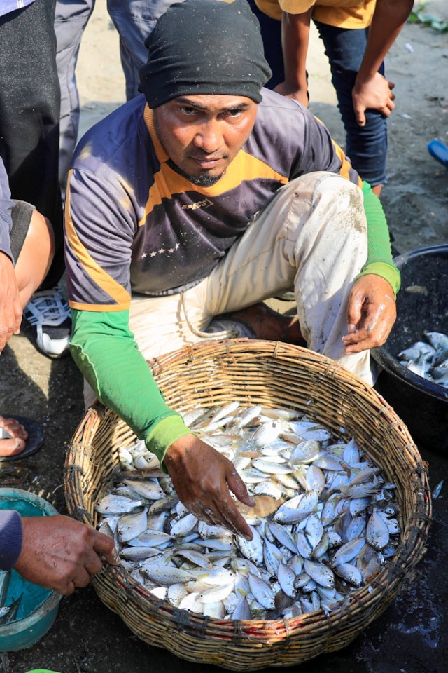 Nelayan memasukkan ikan hasil Tarek Pukat ke keranjang. Foto: Suparta/acehkini