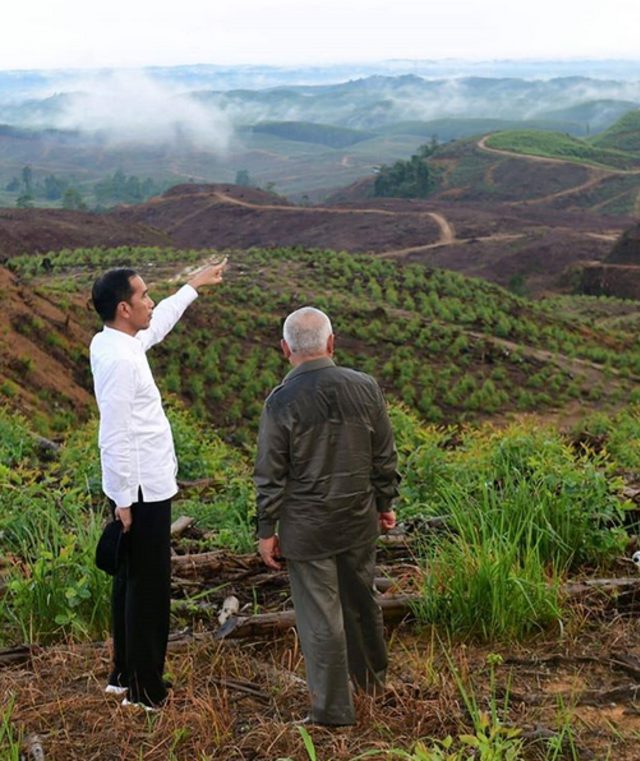Presiden Jokowi di perbukitan Kecamatan Sepaku, Penajam Paser Utara, Kalimantan Timur | Photo by @jokowi on Instagram
