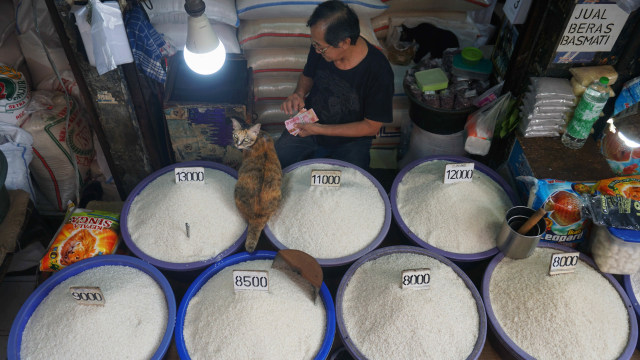 Pedagang beras di Pasar Minggu, Jakarta Selatan. Foto: Irfan Adi Saputra