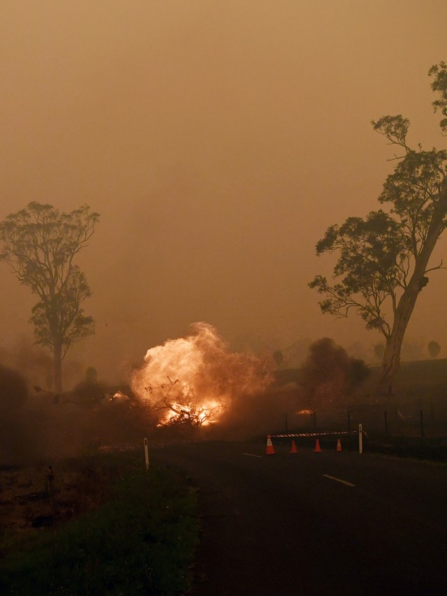 Kebakaran hutan berlanjut di New South Wale, Australia, Minggu (5/1/2020). Foto: REUTERS/Tracey Nearmy