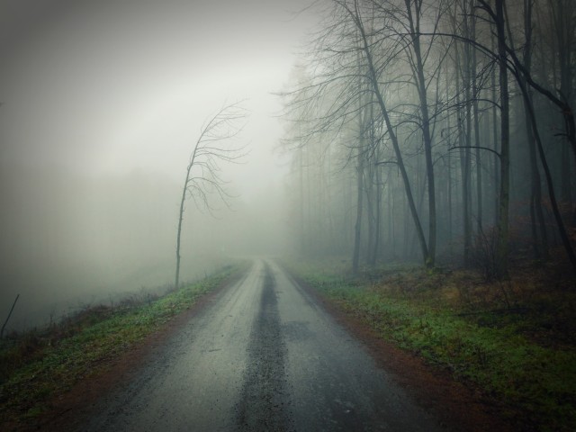 Untitled Image