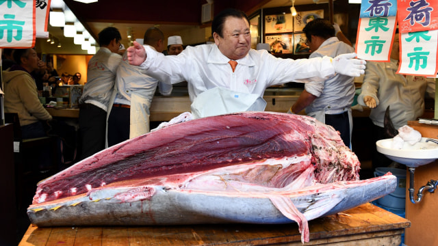 Lelang Ikan Tuna Sirip Biru