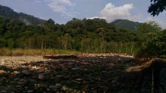 Kawasan hutan ketambe, Aceh Tenggara. Foto: Adi Warsidi