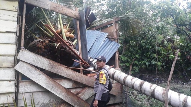 Rumah milik salah seorang warga di Kolaka Utara, mengalami rusak berat akibat tertimpa pohon kelapa yang diterjang angin kencang. Foto: Lukman Budianto/kendarinesia. 