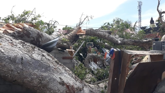 Pohon tumbang timpa lima rumah warga di Bali, Rabu (8/1). Foto: Denita Matondang/Kumparan