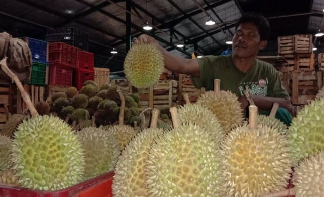 Musim Hujan, Penjualan Buah Durian Pasar Induk Osowilangun Meningkat