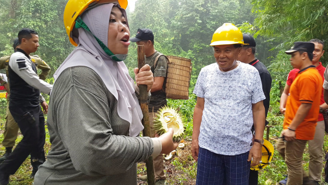 Bupati Kobar Nurhidayah menunjukan buah kerontungan saat nyandau durian di bukit Balang Desa Riam. (Foto: Joko Hardyono)
