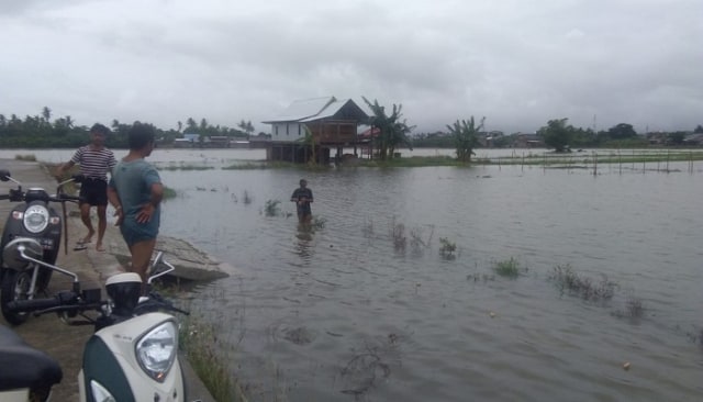 Sawah 20 hektar rusak akibat hujan deras di Kelurahan Laleng Bata Kecematan Paletean, Kabupaten Pinrang, Sulawesi Selatan, Sabtu (11/1).