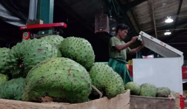 Berkualitas, Buah Sirsak di PIOS Bisa Laku Hingga 2 Ton Satu Minggu