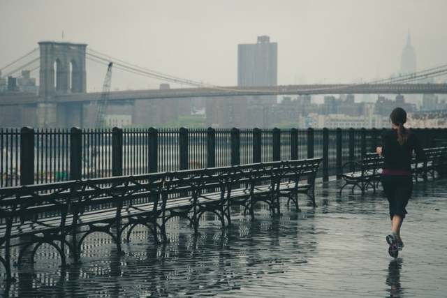 Untitled Image