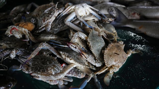 Memahami ZEEI Dan Kedaulatan Indonesia Di Laut Natuna | Kumparan.com