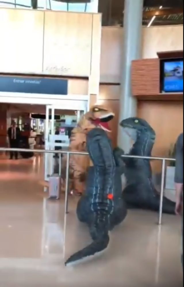 Seorang Nenek Tiba di Bandara Pakai Kostum T-Rex Demi Kagetkan Cucunya (23539)