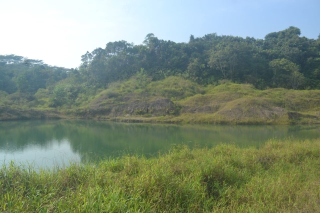 Lubang eks tambang batu bara di Desa Riam Adungan, Kecamatan Kintap, Kabupaten Tanah Laut. Foto: dok banjarhits.id