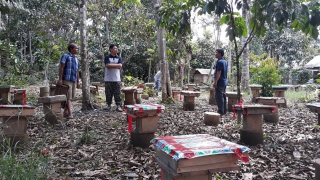 Budidaya madu kelulut di Desa Muara Urie, Kabupaten Kotabaru. Foto: Dishut Kalsel