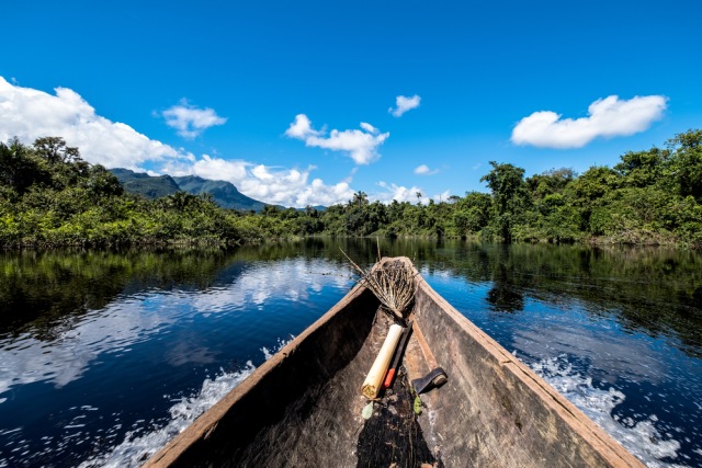 Sungai Amazon di Amerika Selatan Foto: Shutter Stock