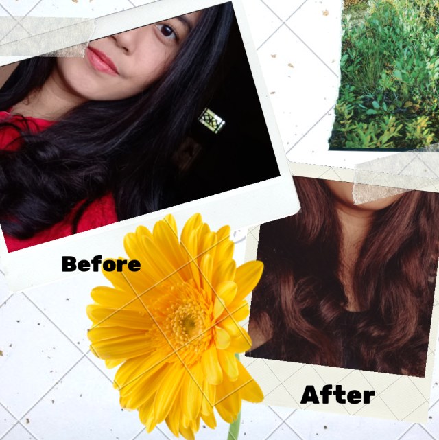 Review Garnier Ultra Color sachet, Berhasilkah di rambut hitam? (568246)