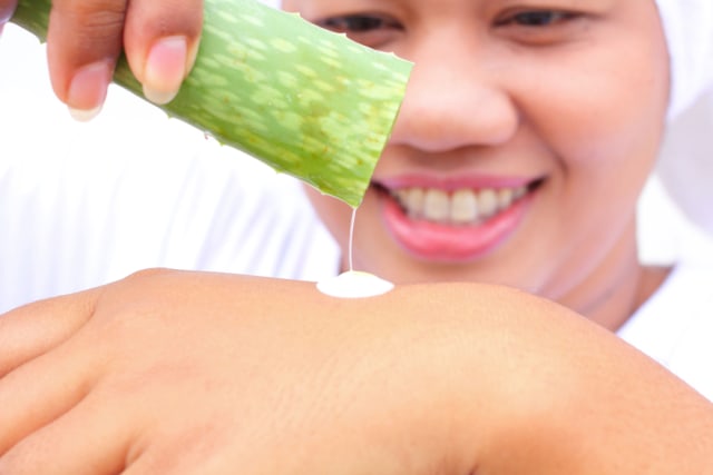 com-Memakai Alore vera untuk kulit. Foto: Shutterstock