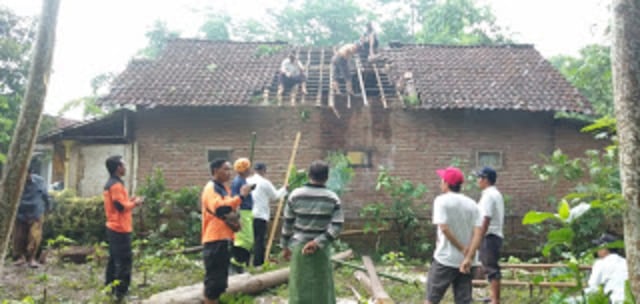 Disapu Angin Kencang,Rumah Warga di Probolinggo Tertimpa Pohon Tumbang