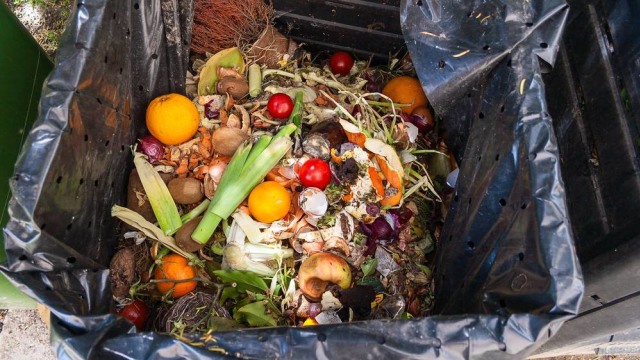 LIPSUS Sampah Kondangan, Sampah Makanan