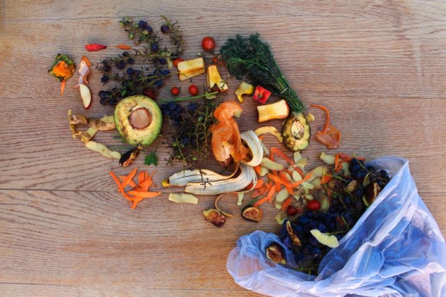 Ilustrasi Makanan Sisa di tempat pebuangan makanan. Foto: Shutter Stock