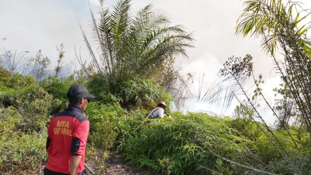 Titik api muncul di hutan di Siak Kecil, Riau. Foto: Dok. BNPB