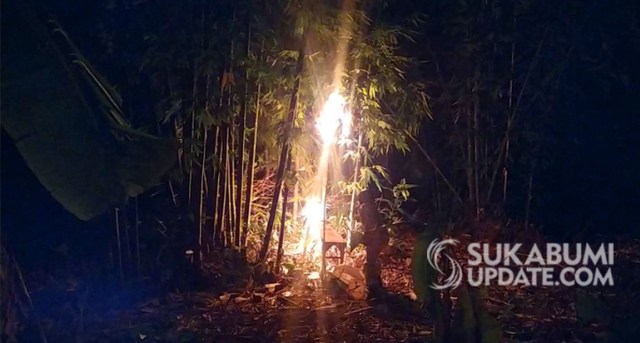 Petugas saat melakukan evakuasi sarang tawon vespa di Kampung Cihurang, Desa Cidadap, Kecamatan Simpenan, Kabupaten Sukabumi, Jumat (17/1/2020) malam. | Sumber Foto:Istimewa