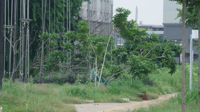 Foto: Lengangnya Wisma Atlet Kemayoran (69521)