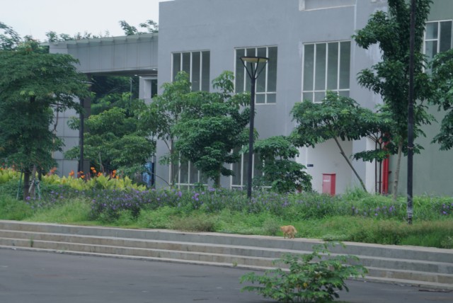 Foto: Lengangnya Wisma Atlet Kemayoran (69530)