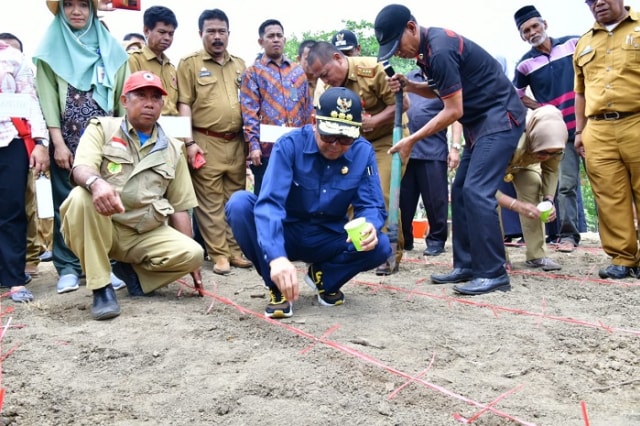 Gubernur Sulsel, Nurdin Abdullah menanam bibit  varietas baru jagung NA2 dan NA2 di Soppeng, Sulawesi Selatan, (Makassar Indeks/Herlin).