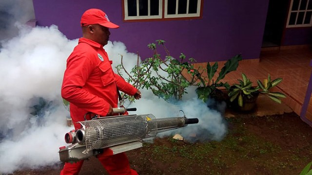 6 Warga Kuningan Menderita Dbd Dinkes Lakukan Fogging